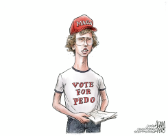 MIDTERM ELECTIONS by Adam Zyglis