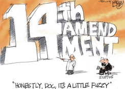 14TH AMENDMENT BIRTHRIGHT by Pat Bagley