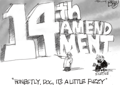 14TH AMENDMENT  by Pat Bagley