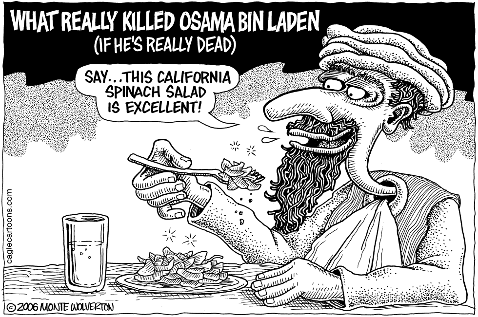 What Killed Osama