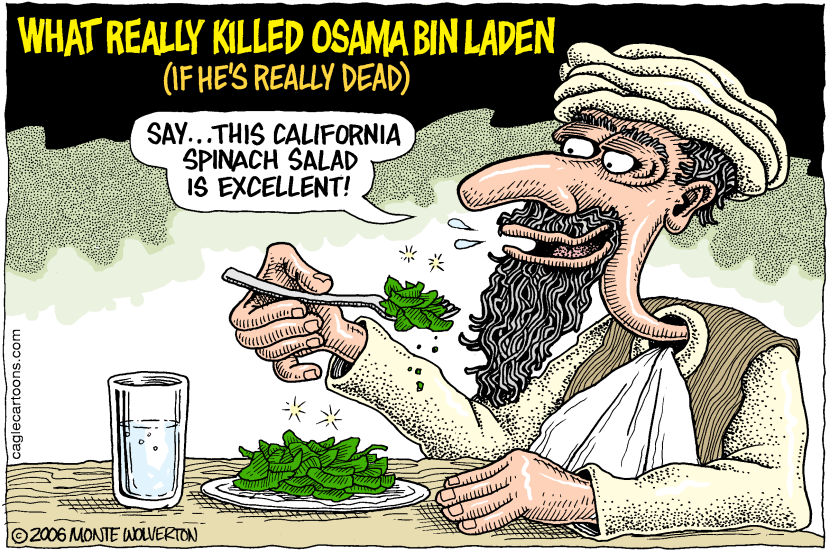 What Killed Osama COLOR