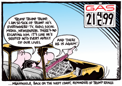 REMINDERS OF TRUMP by Ingrid Rice