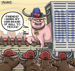 DOUG FORD BULL GOES TO TEXAS by Graeme MacKay