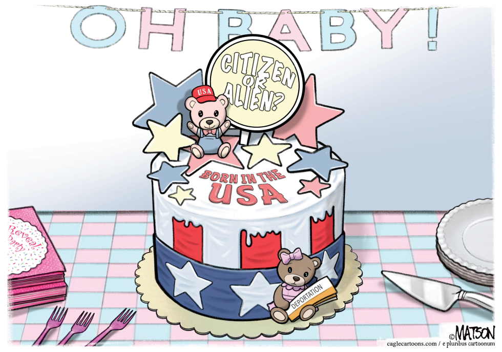 Birthright Citizenship Cake Divides Baby Shower Guests