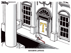 GOODBYE LAPDOG BONDI by Bill Day