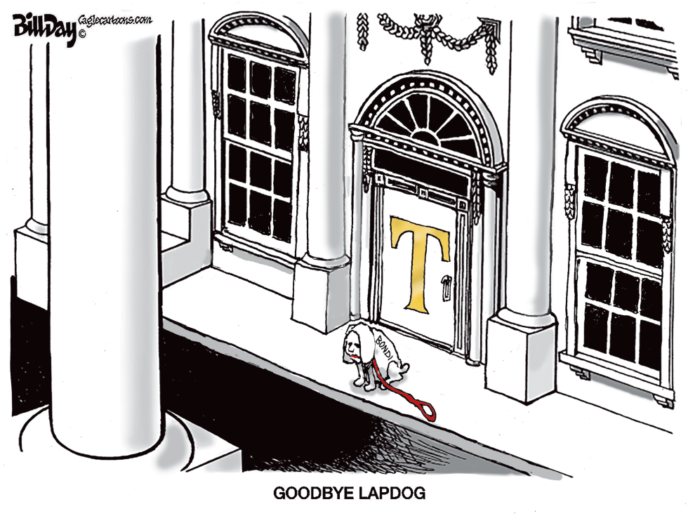 Goodbye Lapdog Bondi