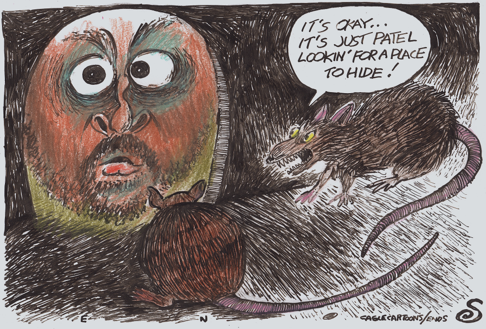 Patel Peers into Rat Hole in Trump Firings Satire