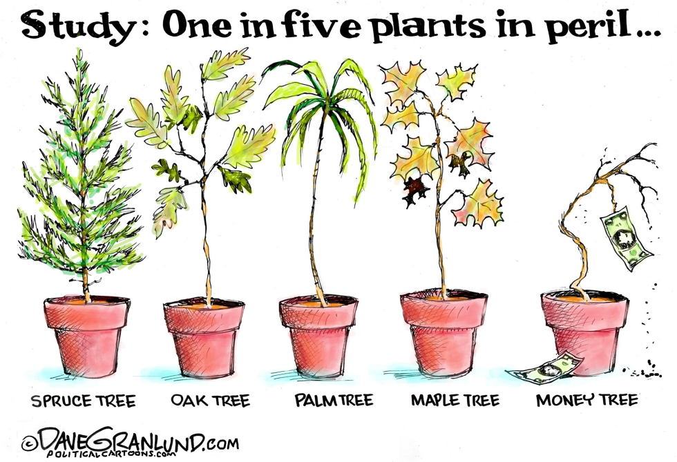 Plants in danger