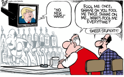 FOOL ME ONCE SHAME ON YOU by Bruce Plante