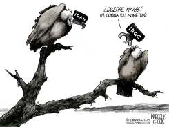 IRAN AND THE CEASEFIRE by Margolis & Cox