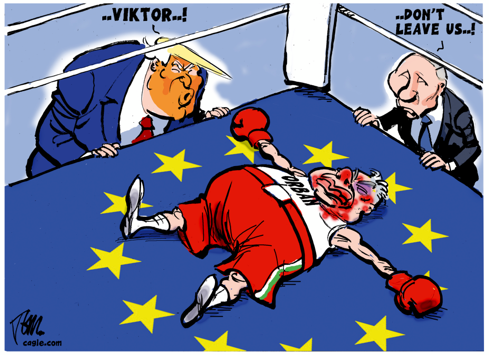 Orban knock out