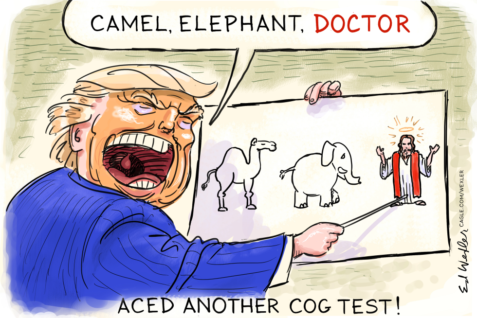 Trump Aces Cog Test with Camel, Elephant, and Doctor Jesus
