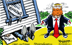 WIZARD OF DUMB by Milt Priggee