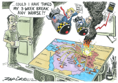 FIGHTING by Zapiro