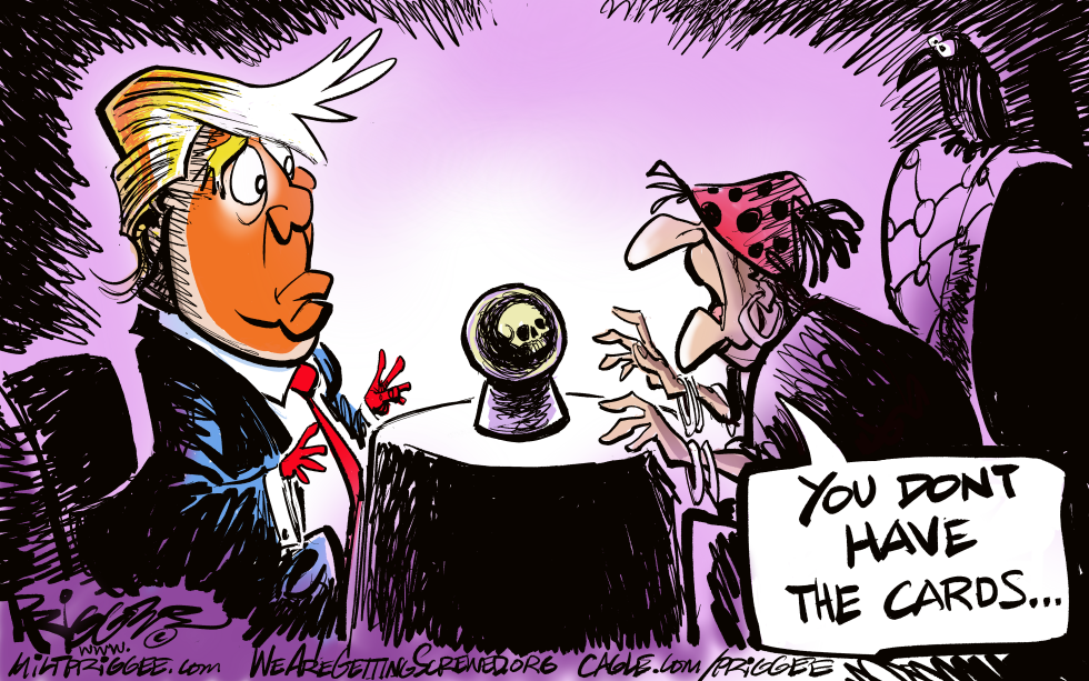 TRUMP CARDS