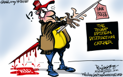 DISTRACTION CATCHER by Milt Priggee