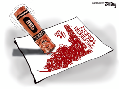 FLORIDA GERRYMANDERING by Bill Day