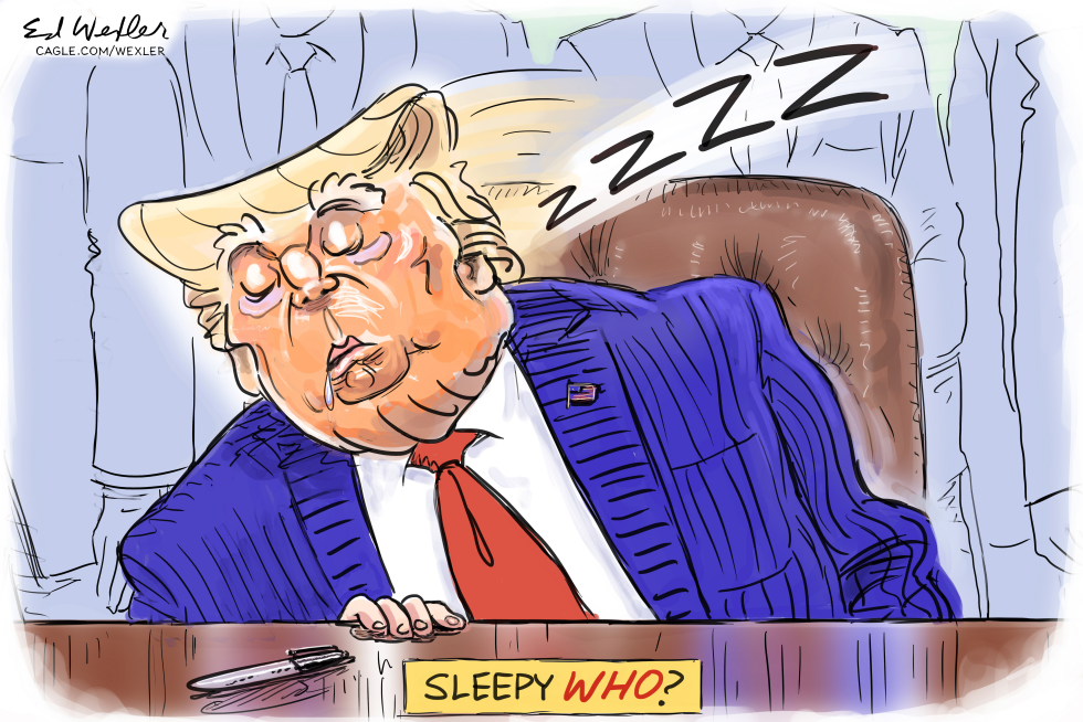 Sleepy Who Trump