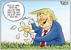 PICKING DAISIES by Christopher Weyant
