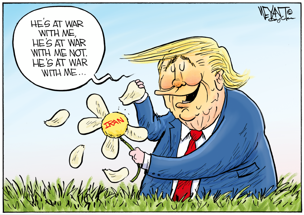 Picking Daisies