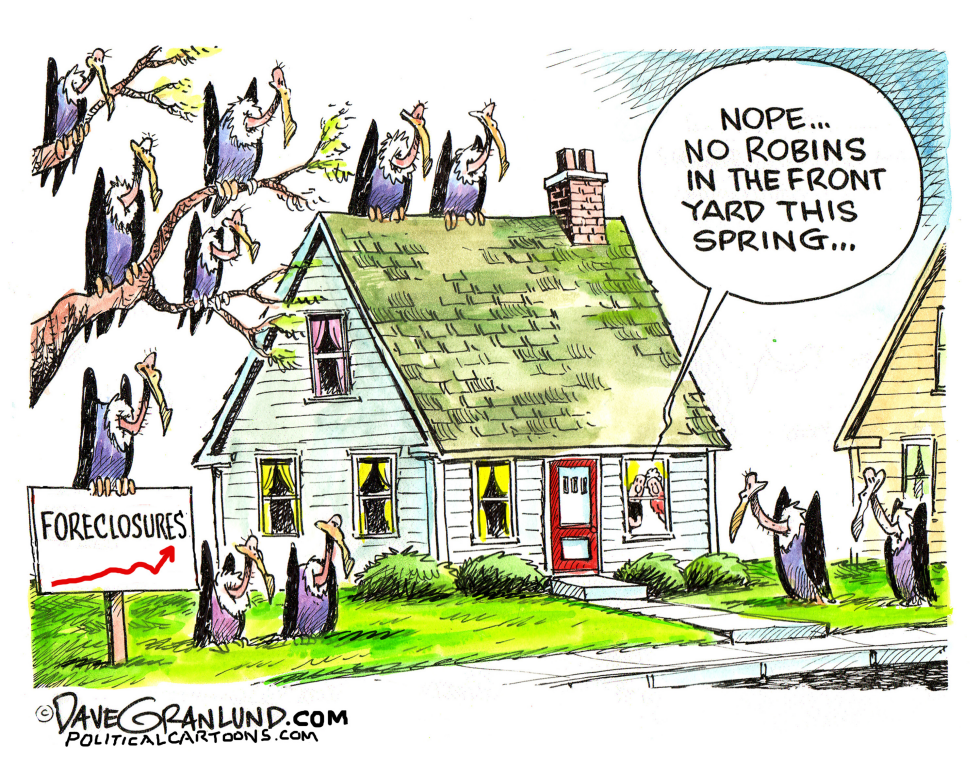 Vultures Circle Foreclosed Home as Spring Robins Stay Away
