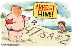 TRUMP INDICTS COMEY FOR SHELLS by Rick McKee