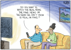 WHICH NEWS by Christopher Weyant