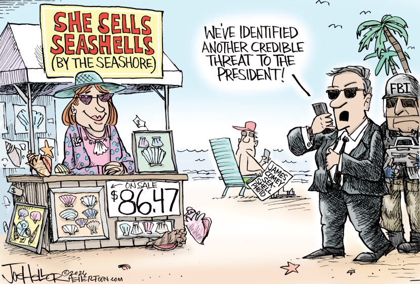 Comey Seashells
