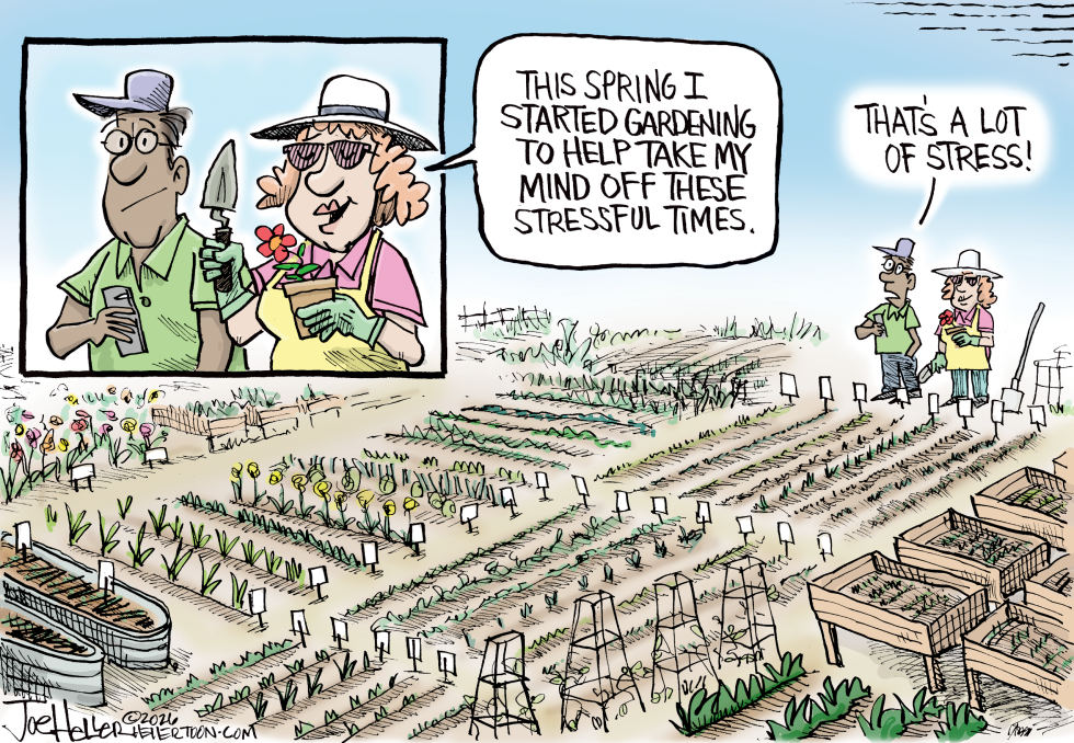 Big Garden