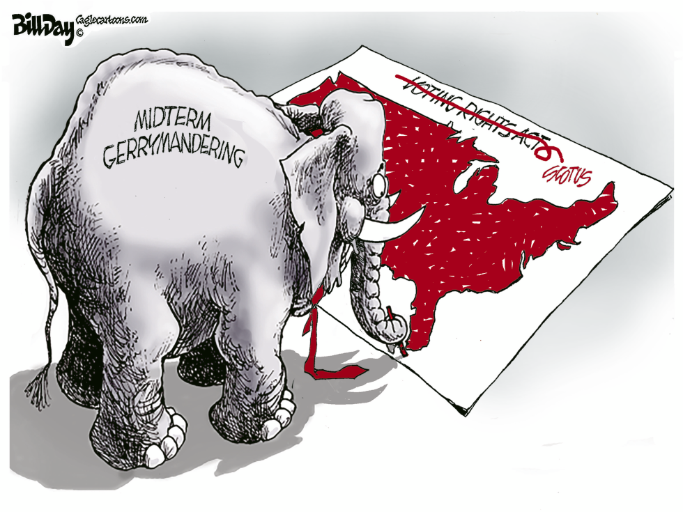 Midterm Gerrymandering