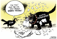 SUPREME COURT GUTS VOTING RIGHTS ACT by Paul Duginski