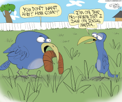 ONLINE DIET FADS by Gary McCoy