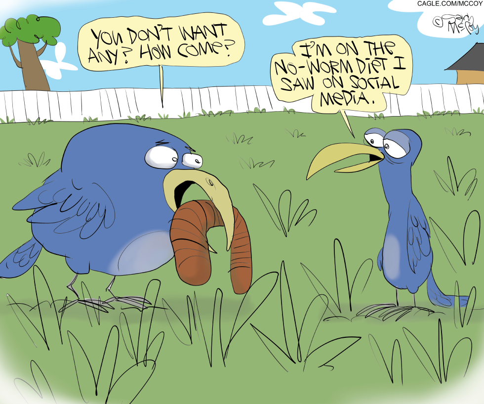 Online Diet Fads