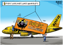 SPIRIT AIRLINES GOES BANKRUPT by Dave Whamond
