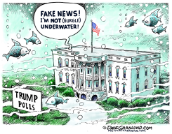 TRUMP UNDERWATER by Dave Granlund