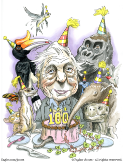 SIR DAVID ATTENBOROUGH IS 100 by Taylor Jones