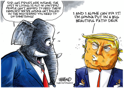 BUILDING BALLROOMS WHILE AMERICANS SUFFER by Dave Whamond