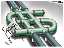 PROTECTED FEDERAL LAND by Bill Day