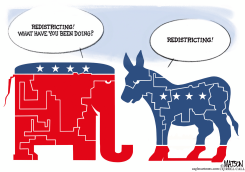 PARTISAN REDISTRICTING REDRAWS PARTY SYMBOLS by R.J. Matson