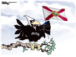 FLORIDA JIM CROW by Bill Day