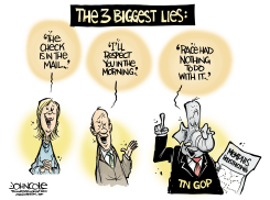 TN THE THREE BIGGEST LIES by John Cole