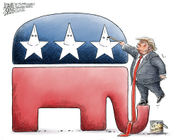 REDISTRICTING LINES by Adam Zyglis