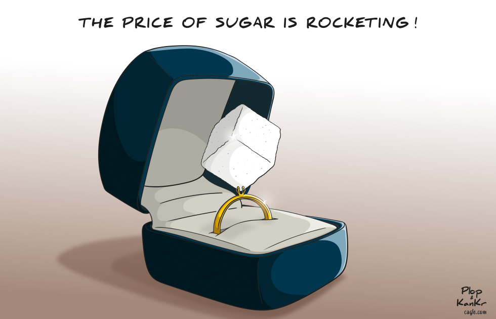 rise in food prices sugar