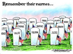 REMEMBER THEIR NAMES by Dave Granlund