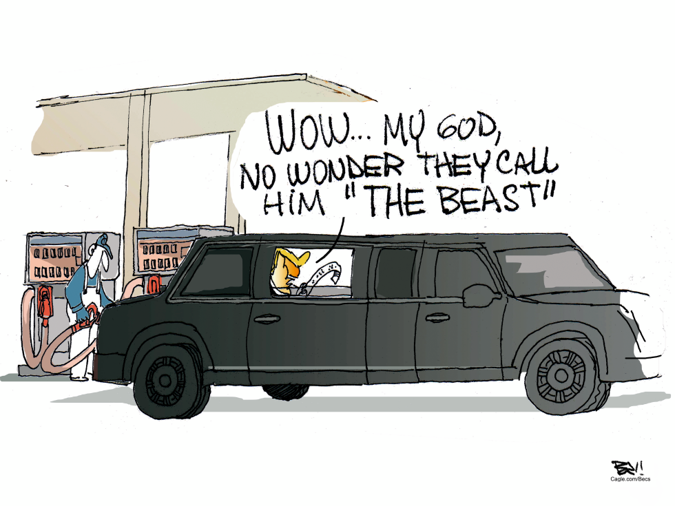 The price of fuel