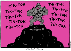 TIKTOK ALPHA APE ON ROCK IN MANOSPHERE by Schot