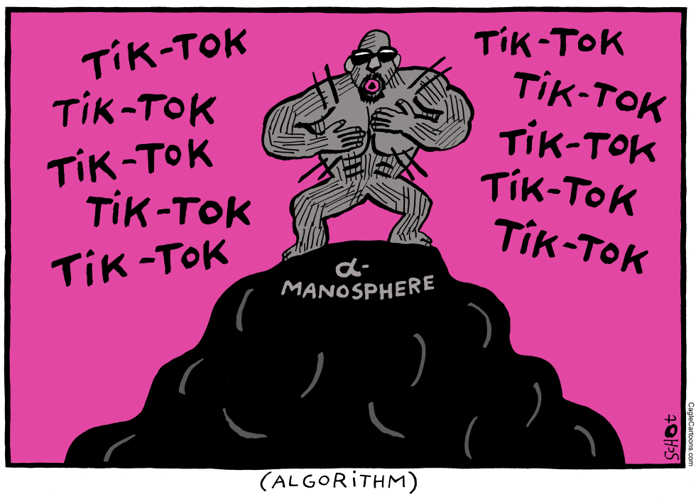 tiktok alpha ape on rock in manosphere