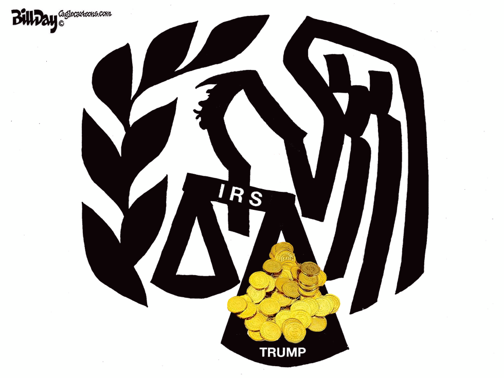 IRS Taxpayer Giveaway