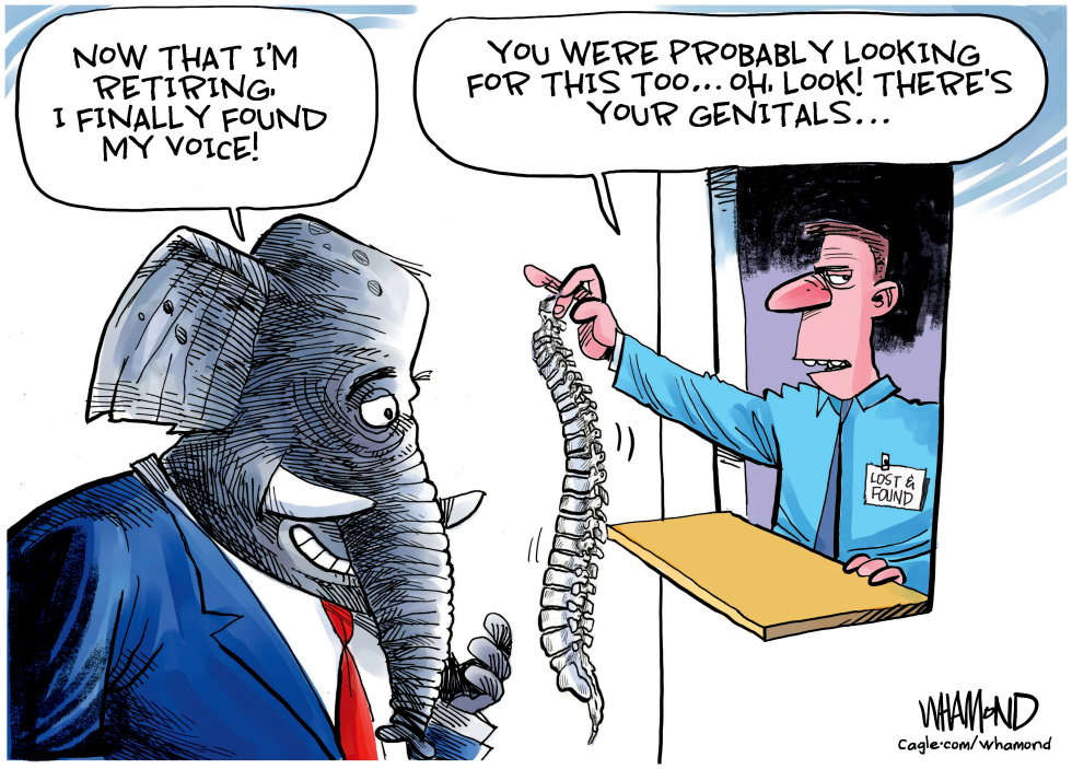 Retiring elephant at lost and found counter with spine