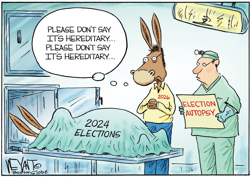 Democrats Autopsy